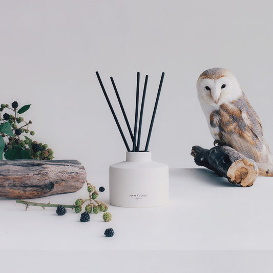 Wild Berry & Bramble Diffuser