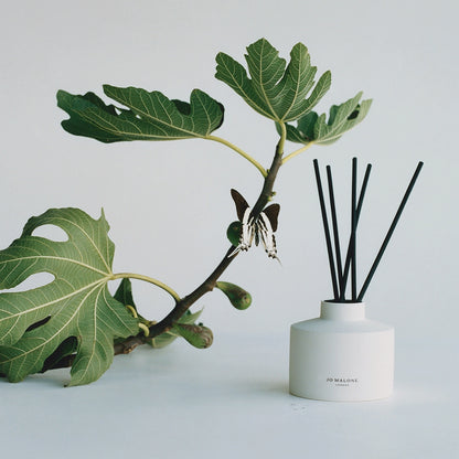 Fresh Fig & Cassis Diffuser