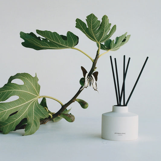 Fresh Fig & Cassis Diffuser