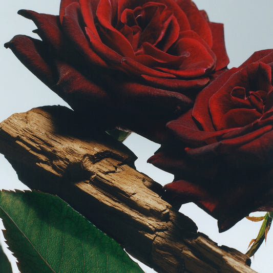 Velvet Rose & Oud Diffuser
